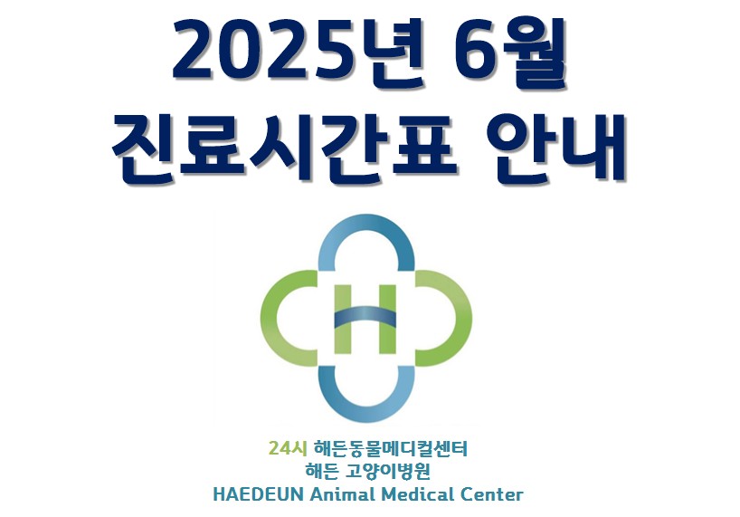 2025년 6월 진료시간표 안내
