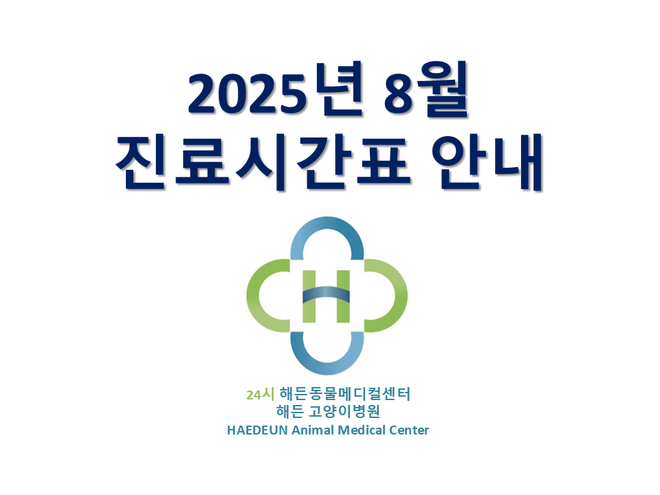 2025년 8월 진료시간표 안내