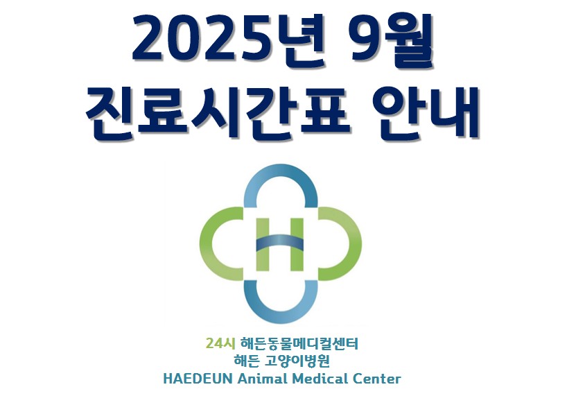 2025년 9월 진료시간표 안내