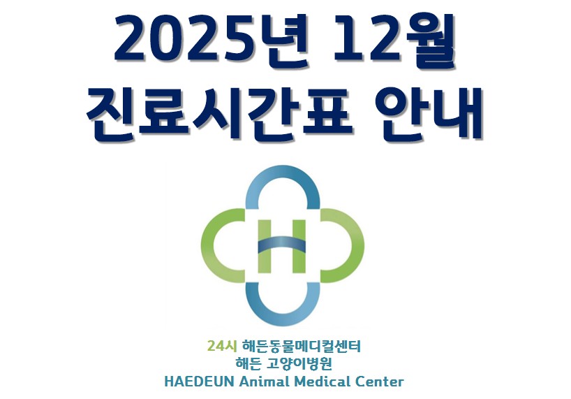 2025년 12월 진료시간표 안내 (12/10 최종업데이트)
